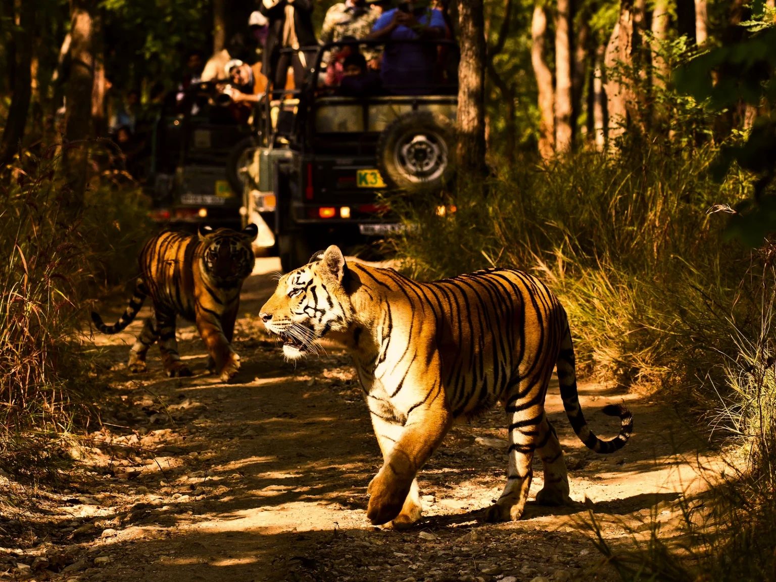 Bali Funventure