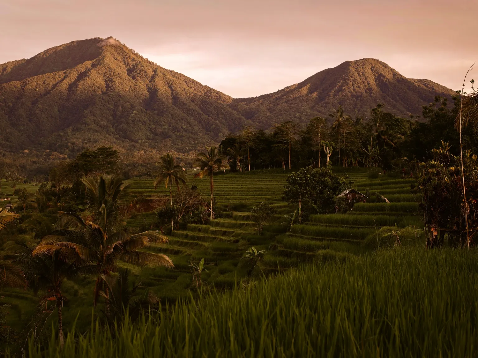 Bali Highland Discovery