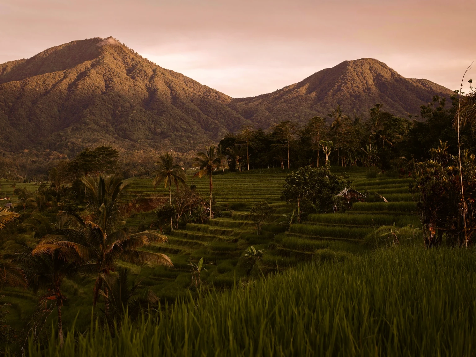 Bali Highland Discovery