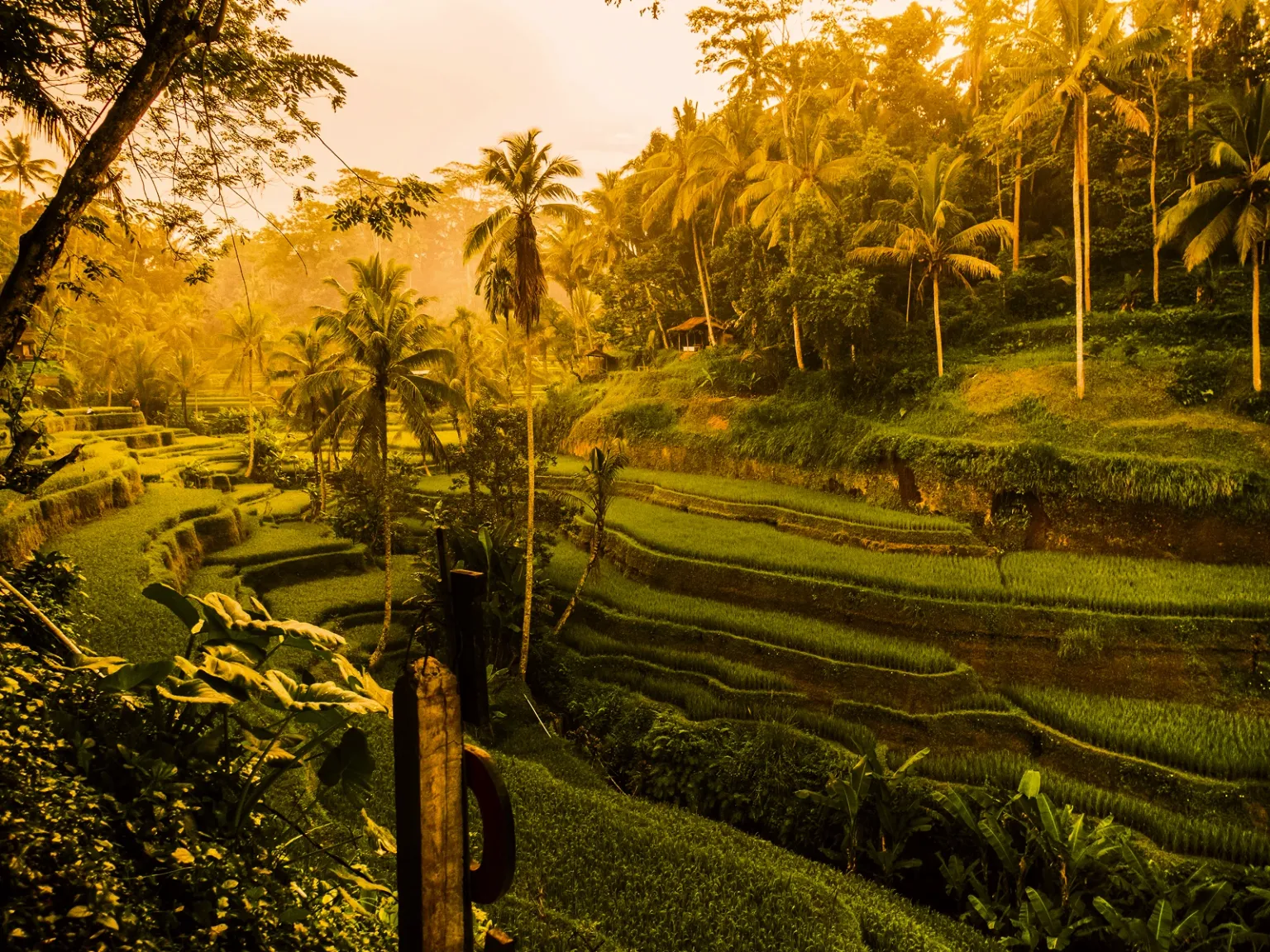 Bali Highland Family Adventure