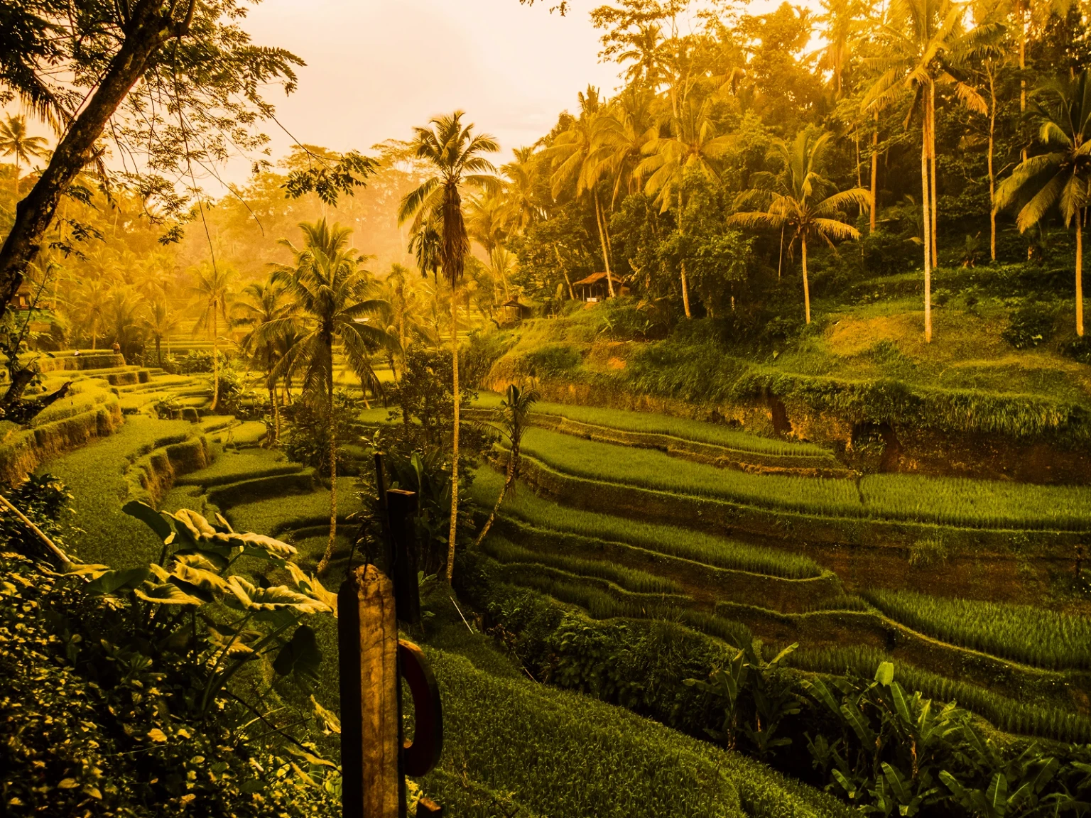 Bali Highland Family Adventure