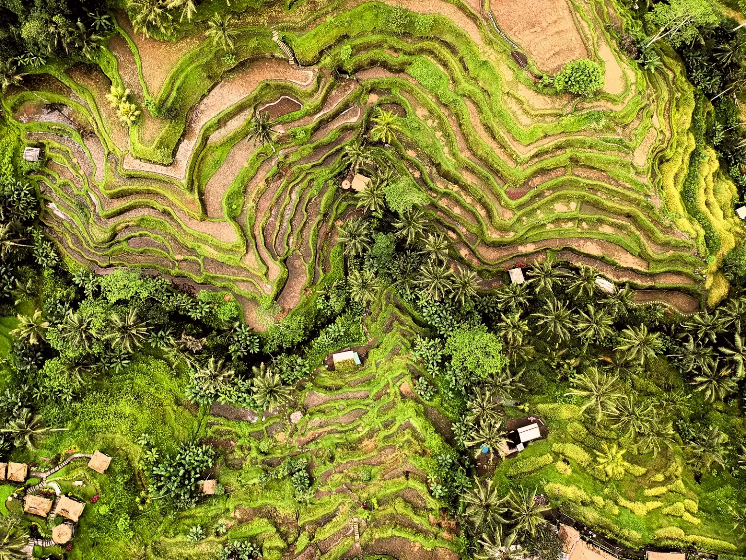 Bali Road Diaries