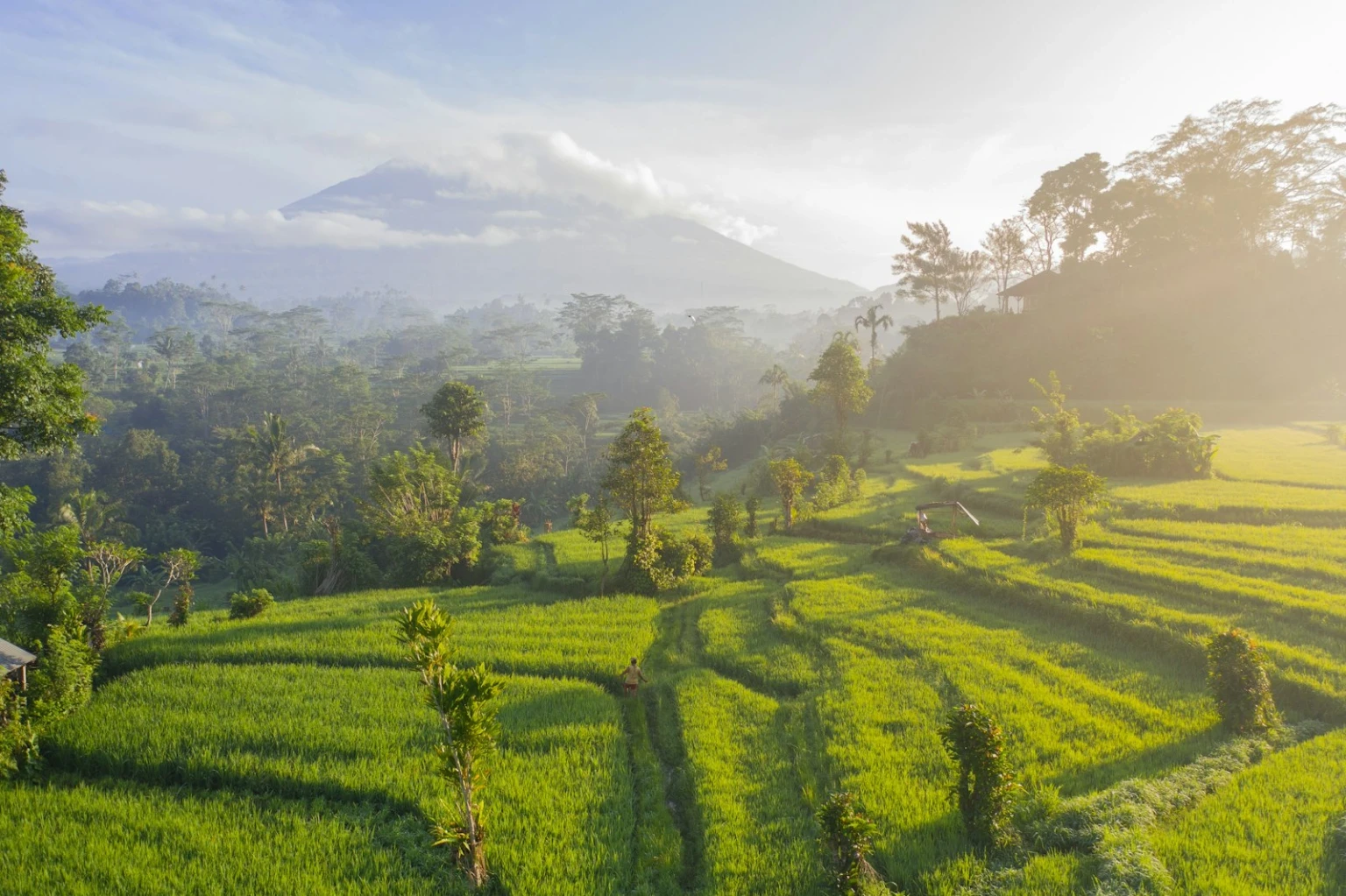 bali_travel_unsplash_7hww7t6NLcg.jpg