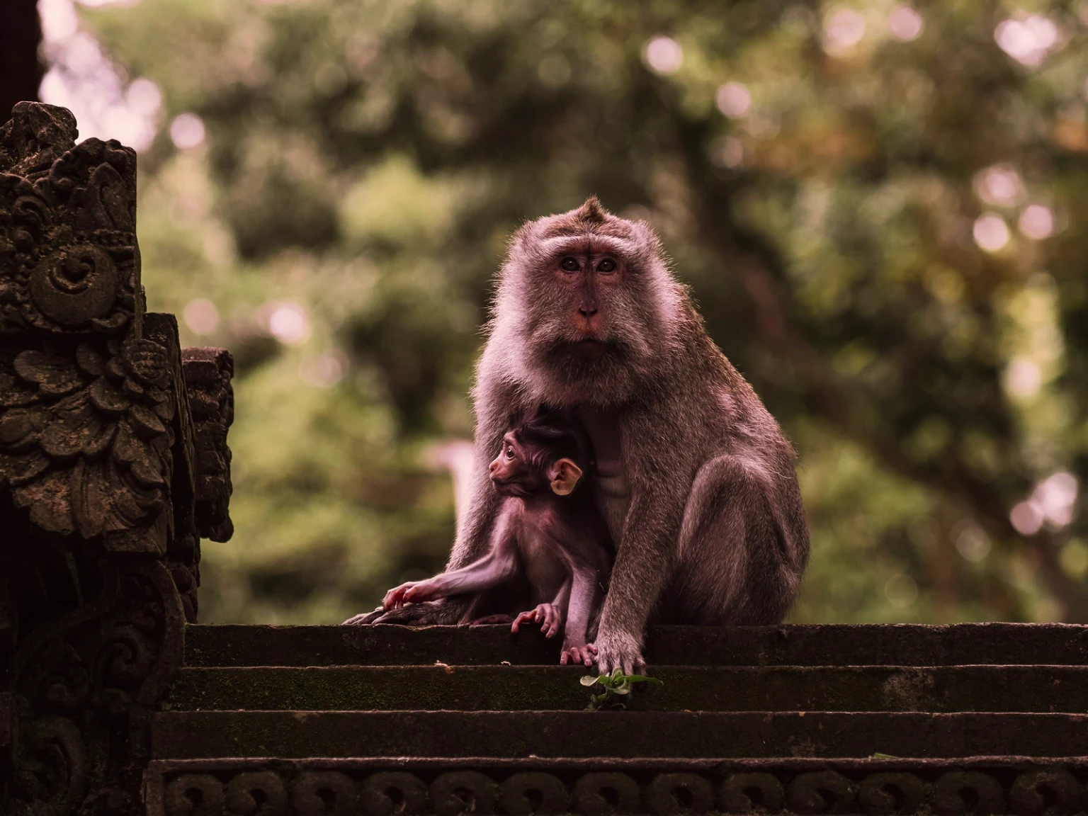 Best of Bali with the Crew
