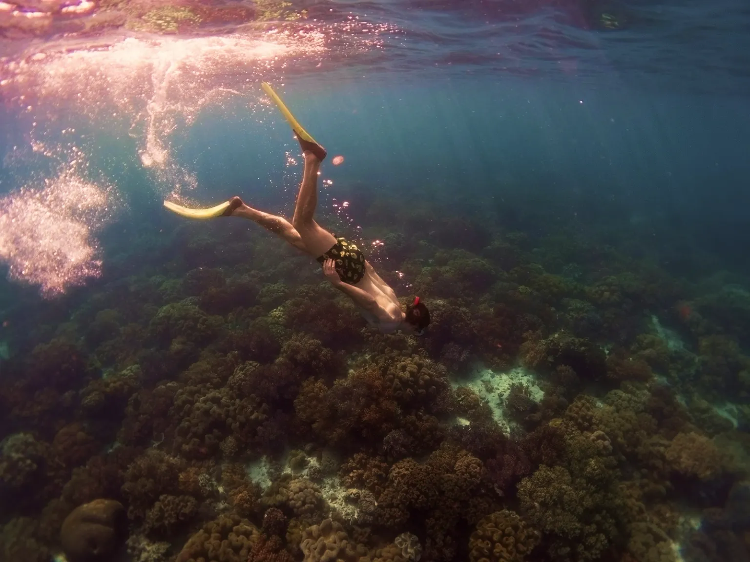 Best of Bali