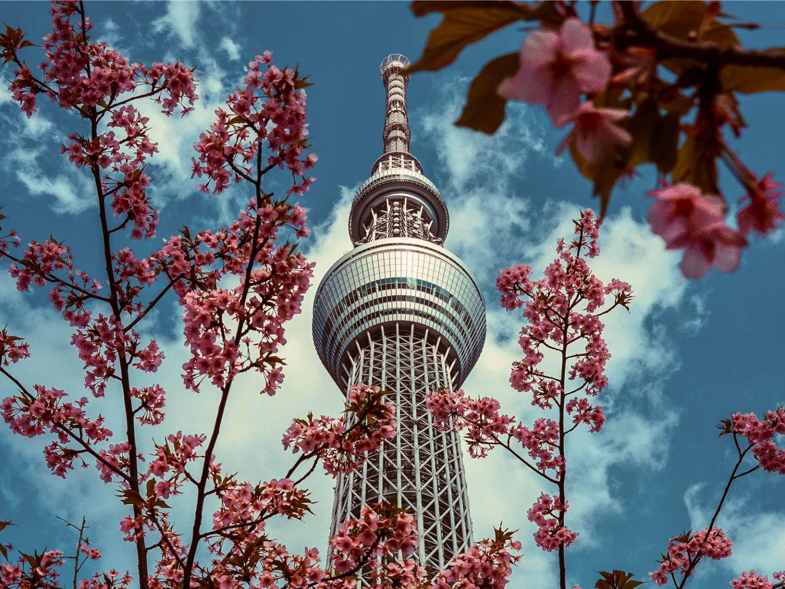Best of Japan