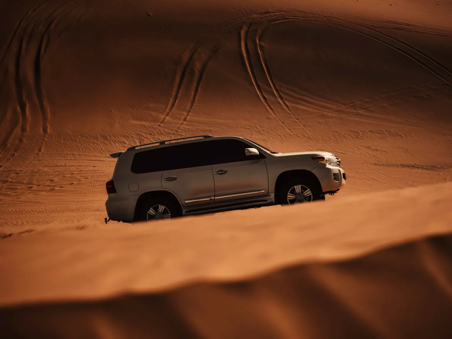 Best of UAE with the Crew