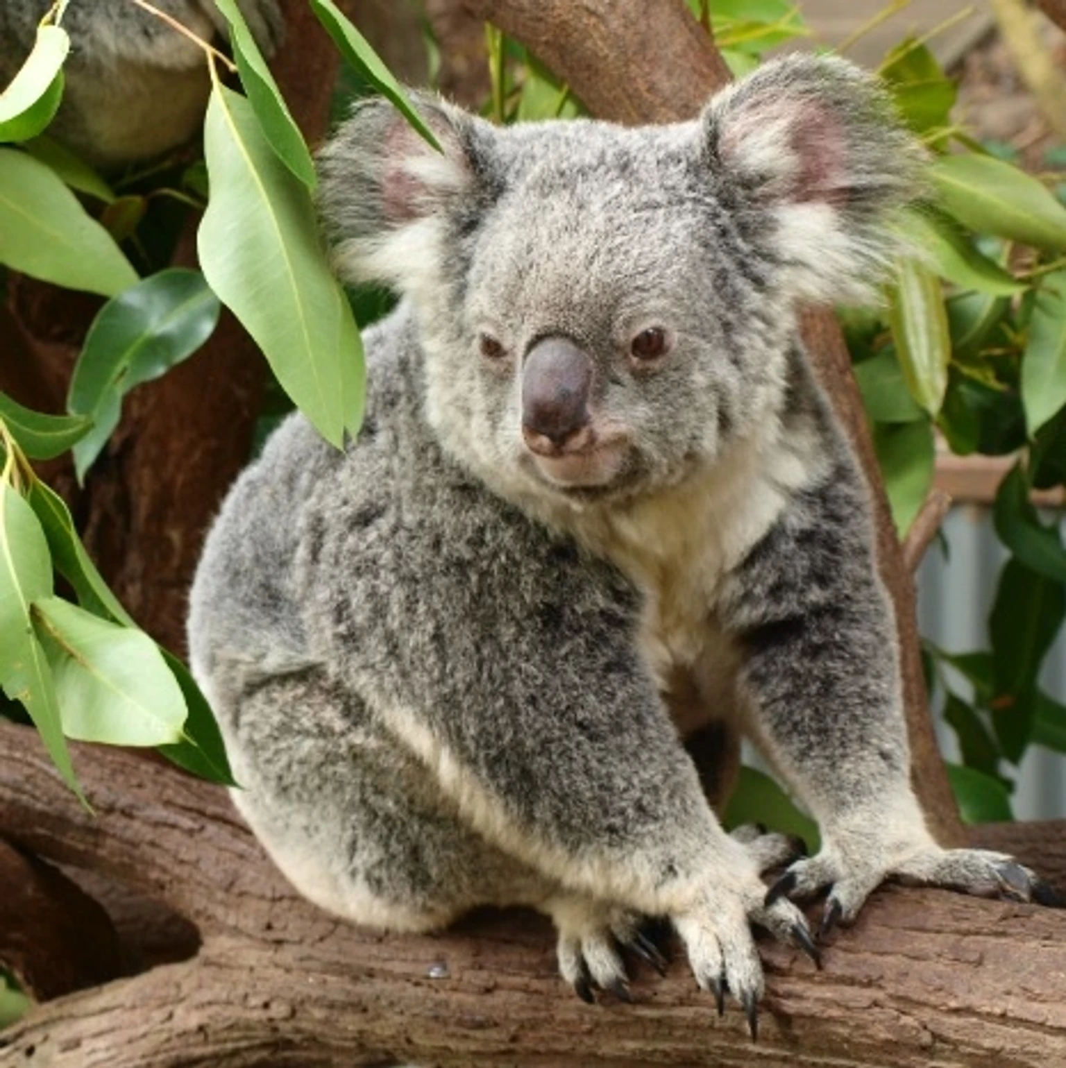 A scenic view of holiday packages showcasing picturesque destinations in Australia.