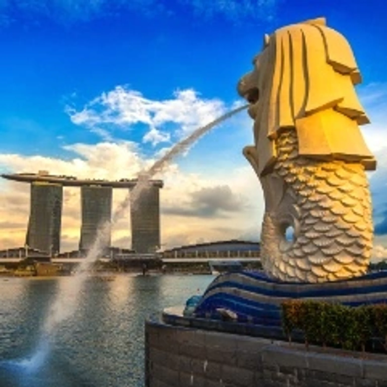 Colorful holiday packages showcasing attractions and activities in Singapore.