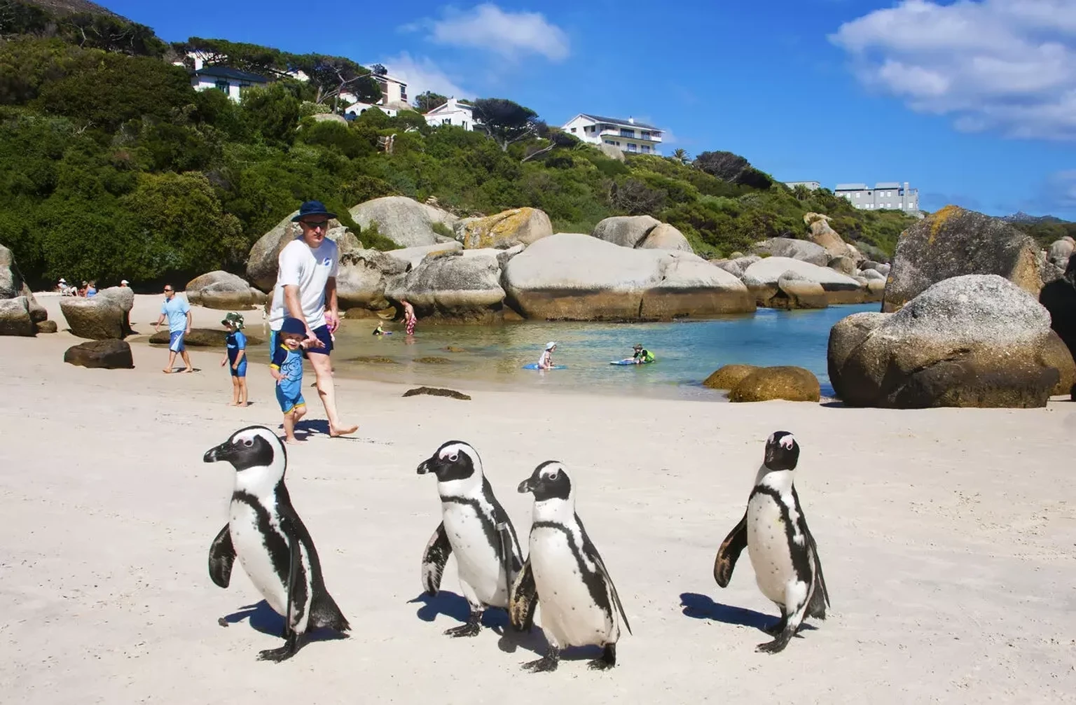 Cape Town Family Escape