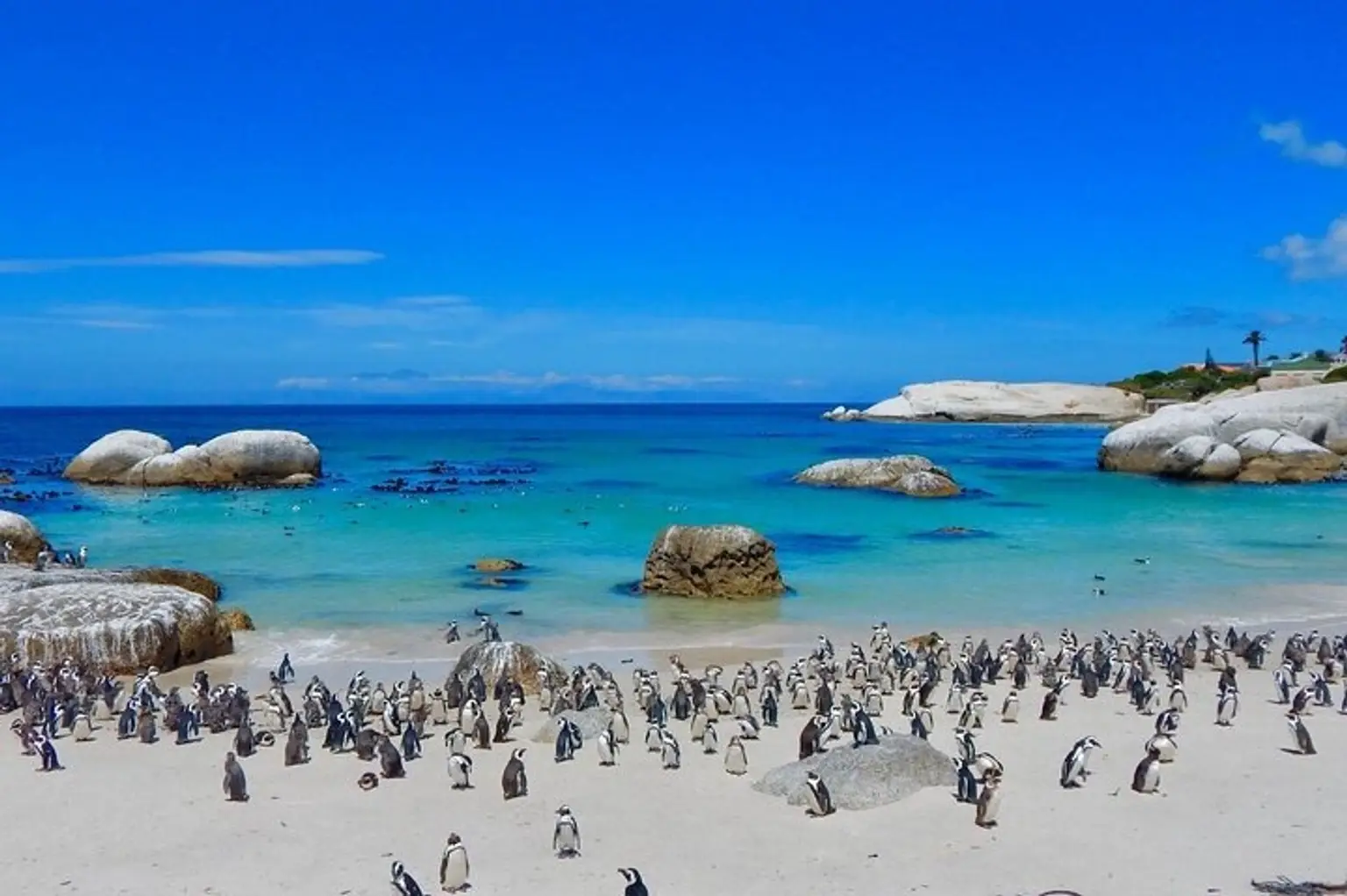 Cape Town Highlights Getaway