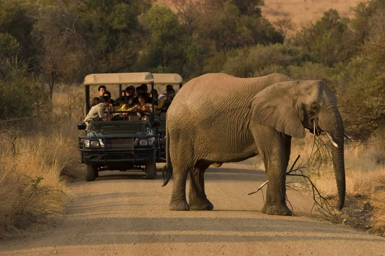 Cape town with Kruger Safari