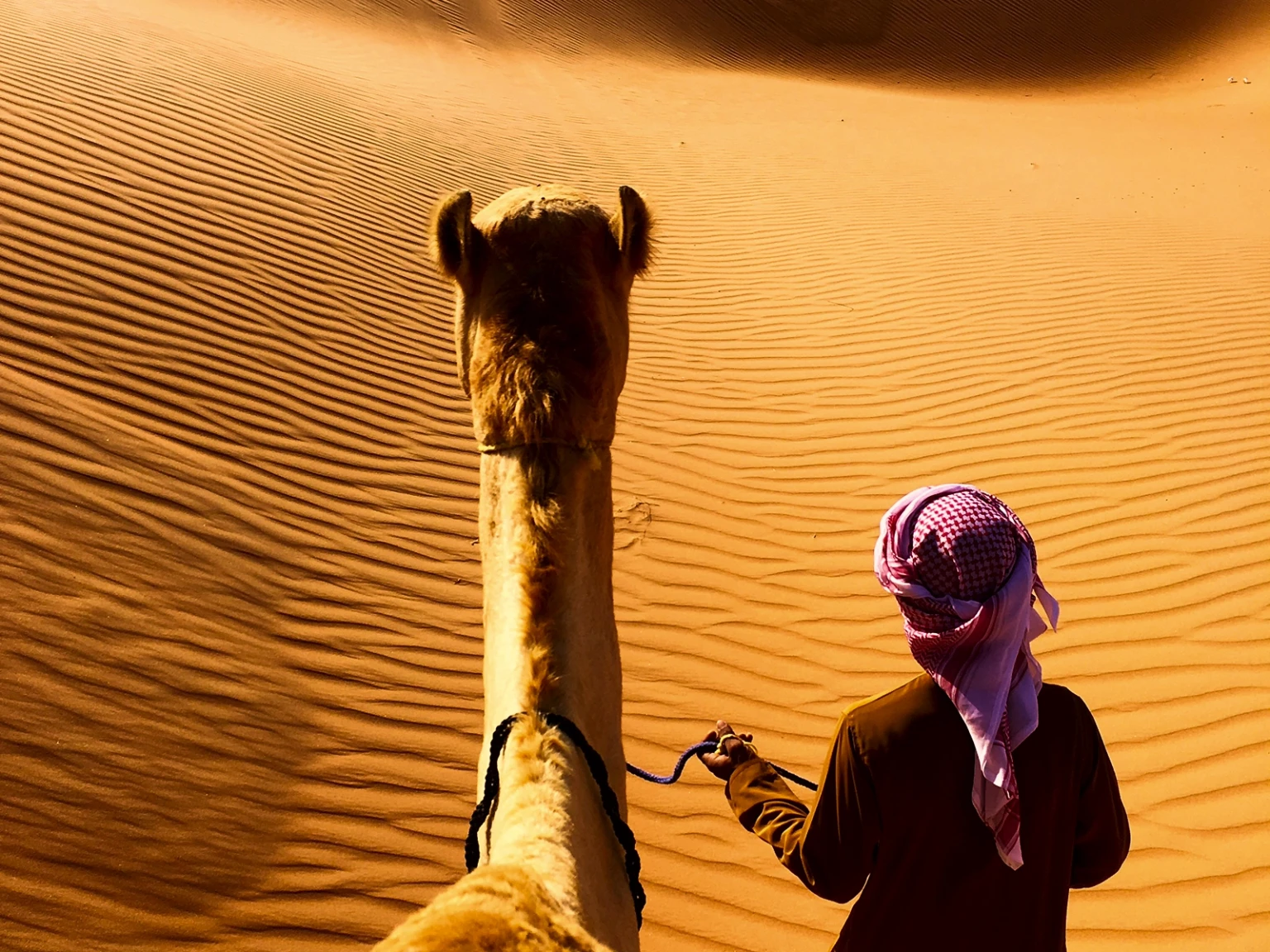 Cross-Emirates Adventure