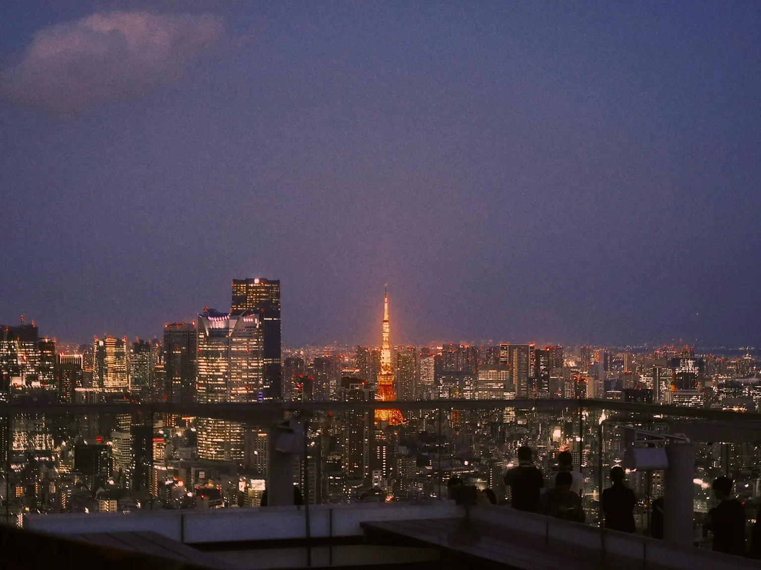 Dazzling Tokyo Nights