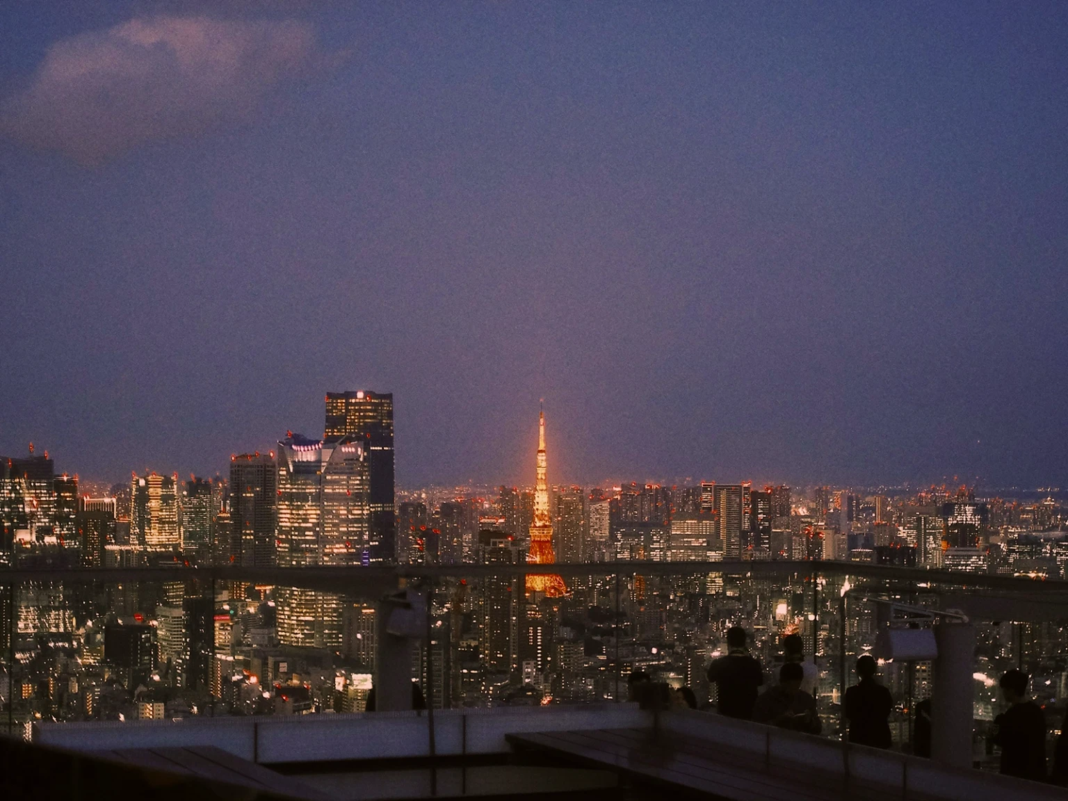 Dazzling Tokyo Nights