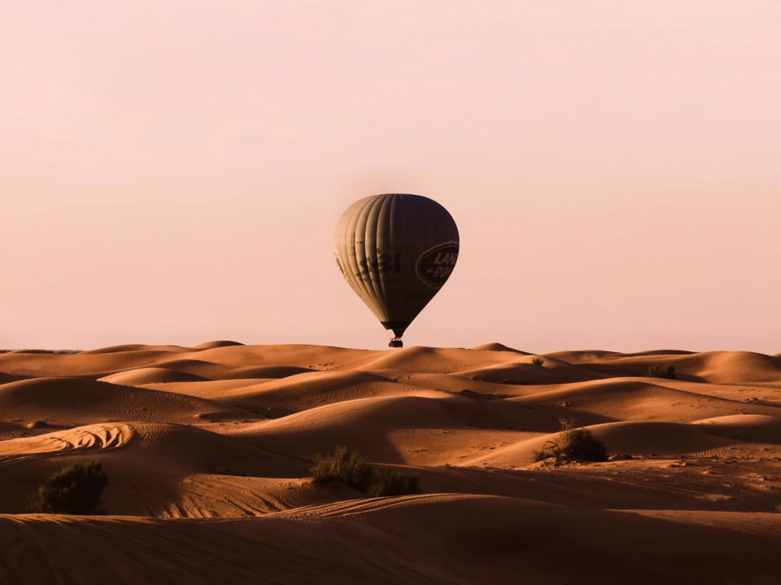 Desert Dreams for Two
