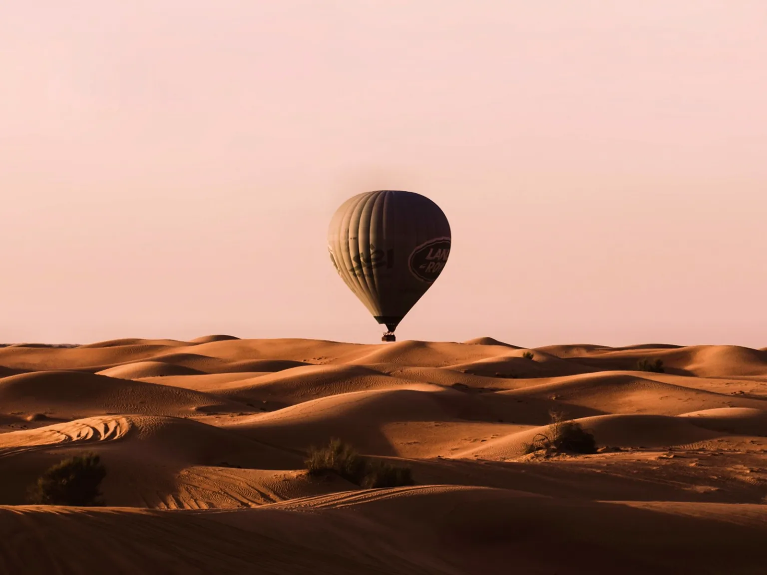 Desert Dreams for Two