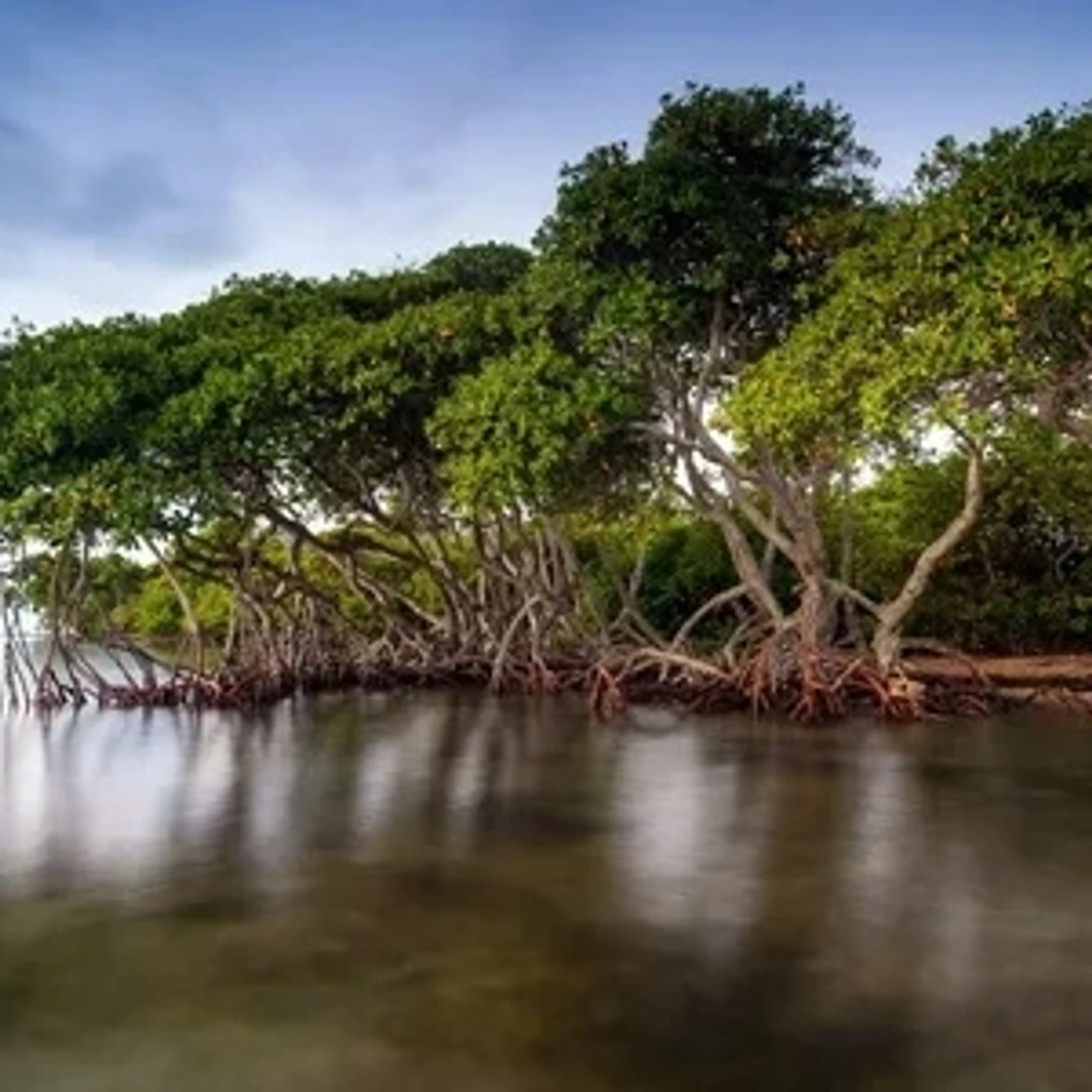 Stunning holiday package showcasing landmarks and attractions in Abu Dhabi.