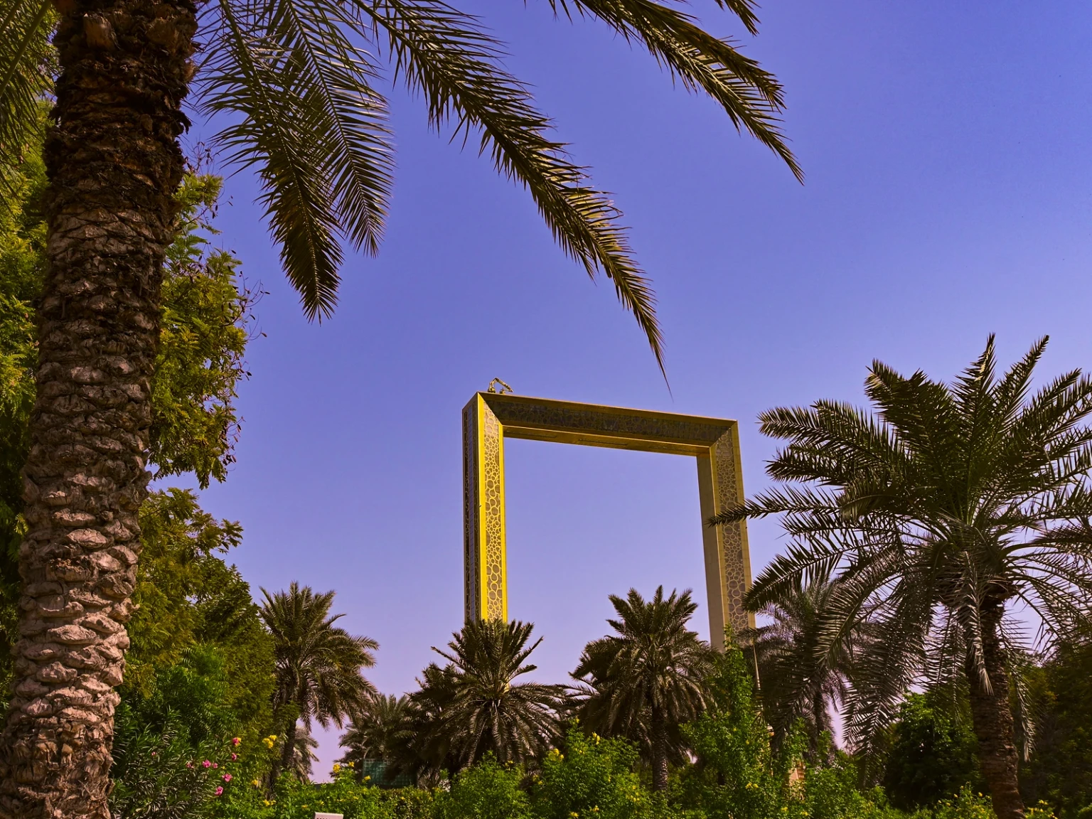 Dubai Shopper's Dream
