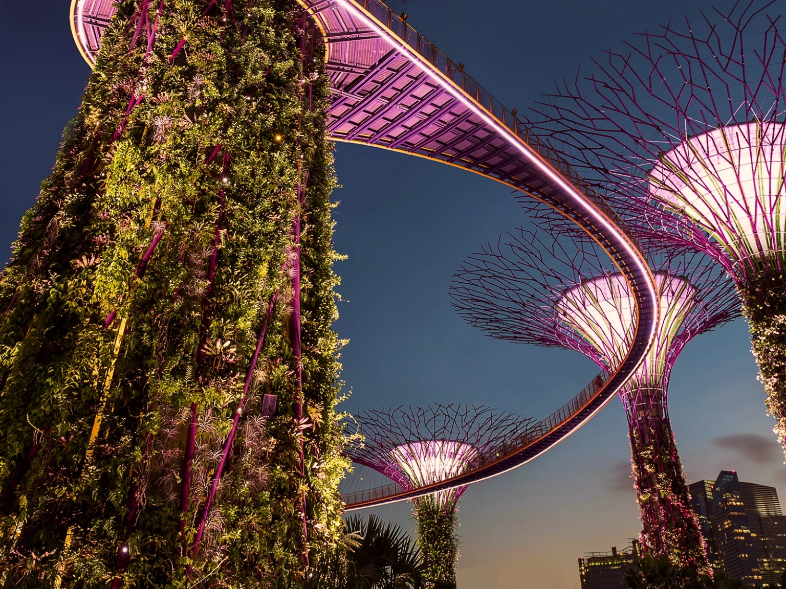 Essence of Singapore
