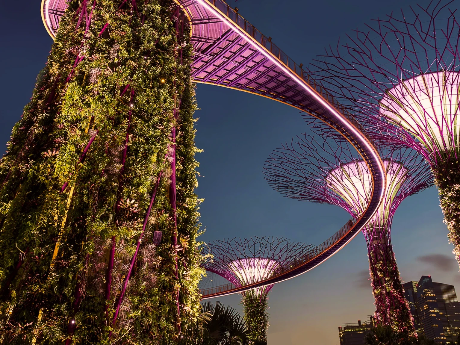 Essence of Singapore