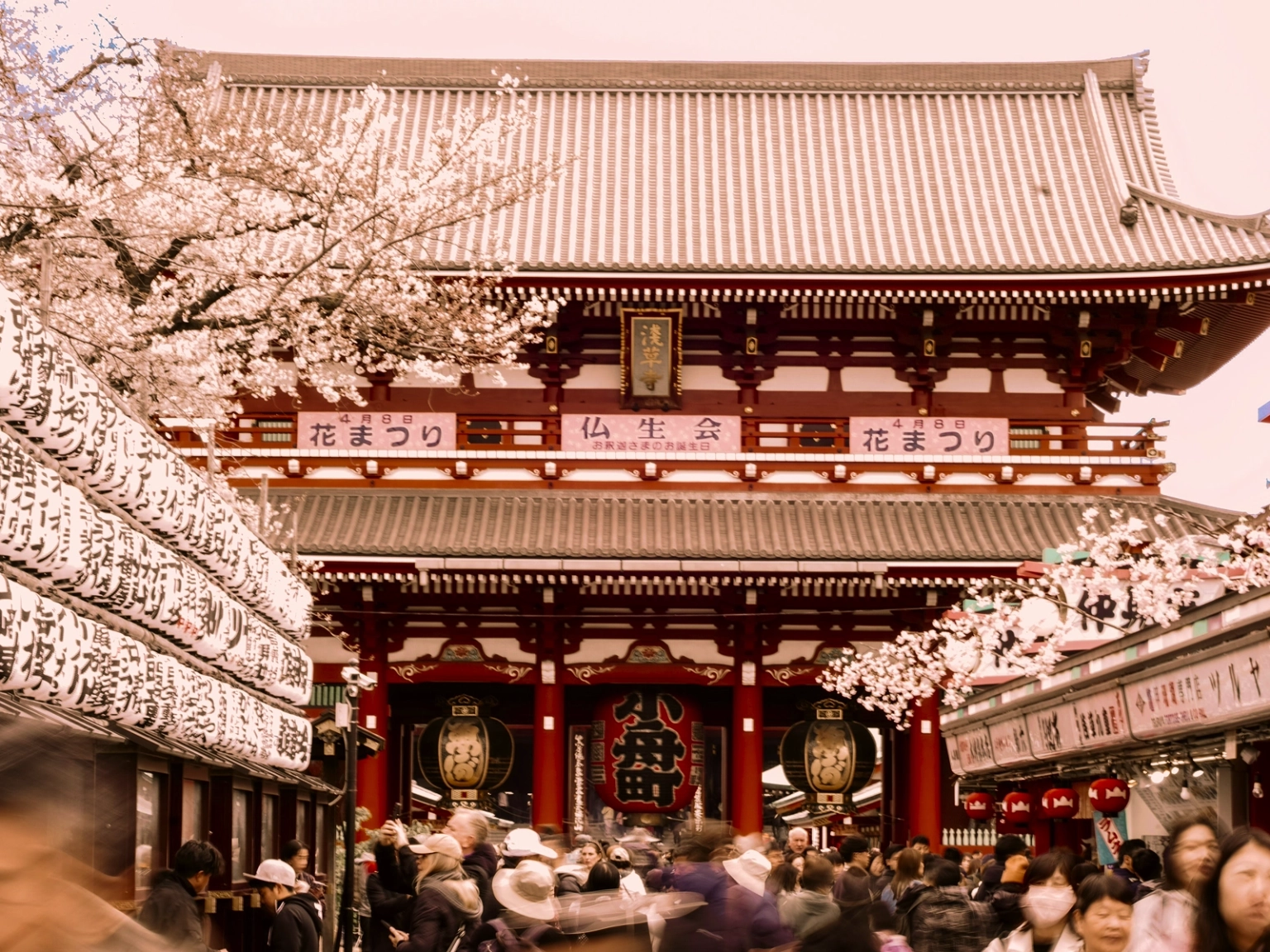 Explorers of Ancient Japan