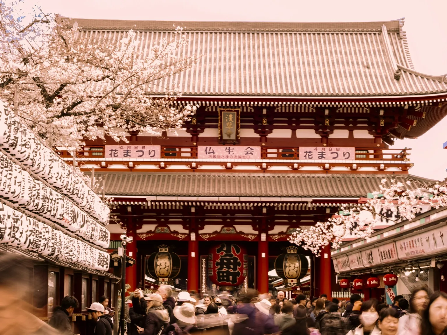 Explorers of Ancient Japan