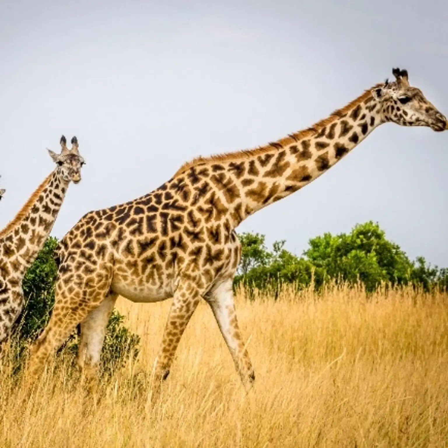 Bali holiday package featuring stunning landscapes and luxurious accommodations.