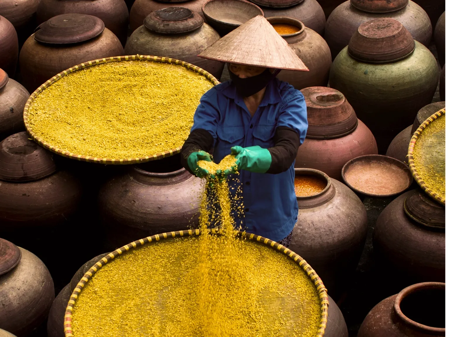Flavours of Vietnam