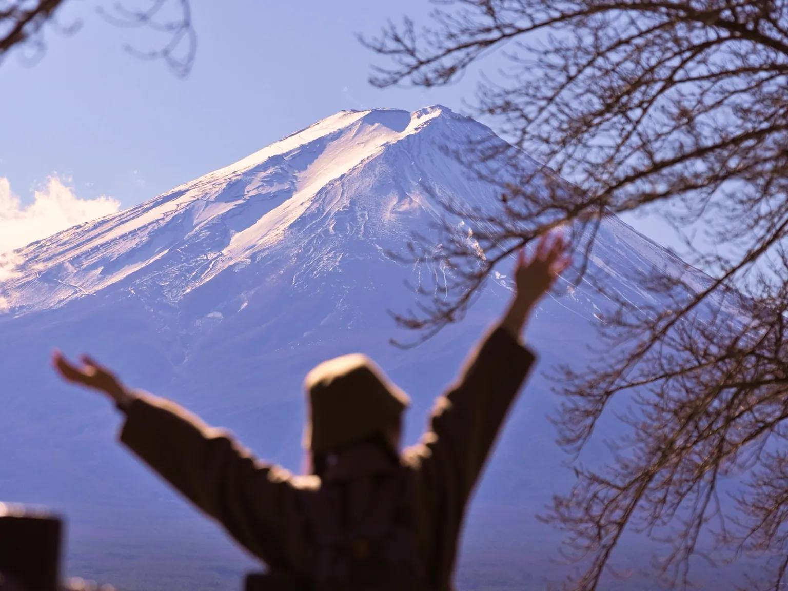 Fuji Trails