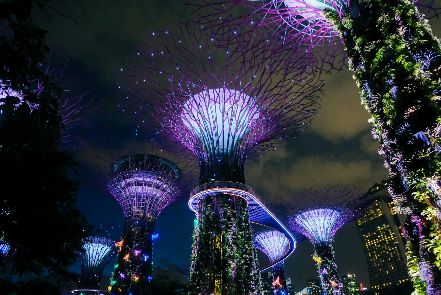 Gardens by the Bay1.jpg