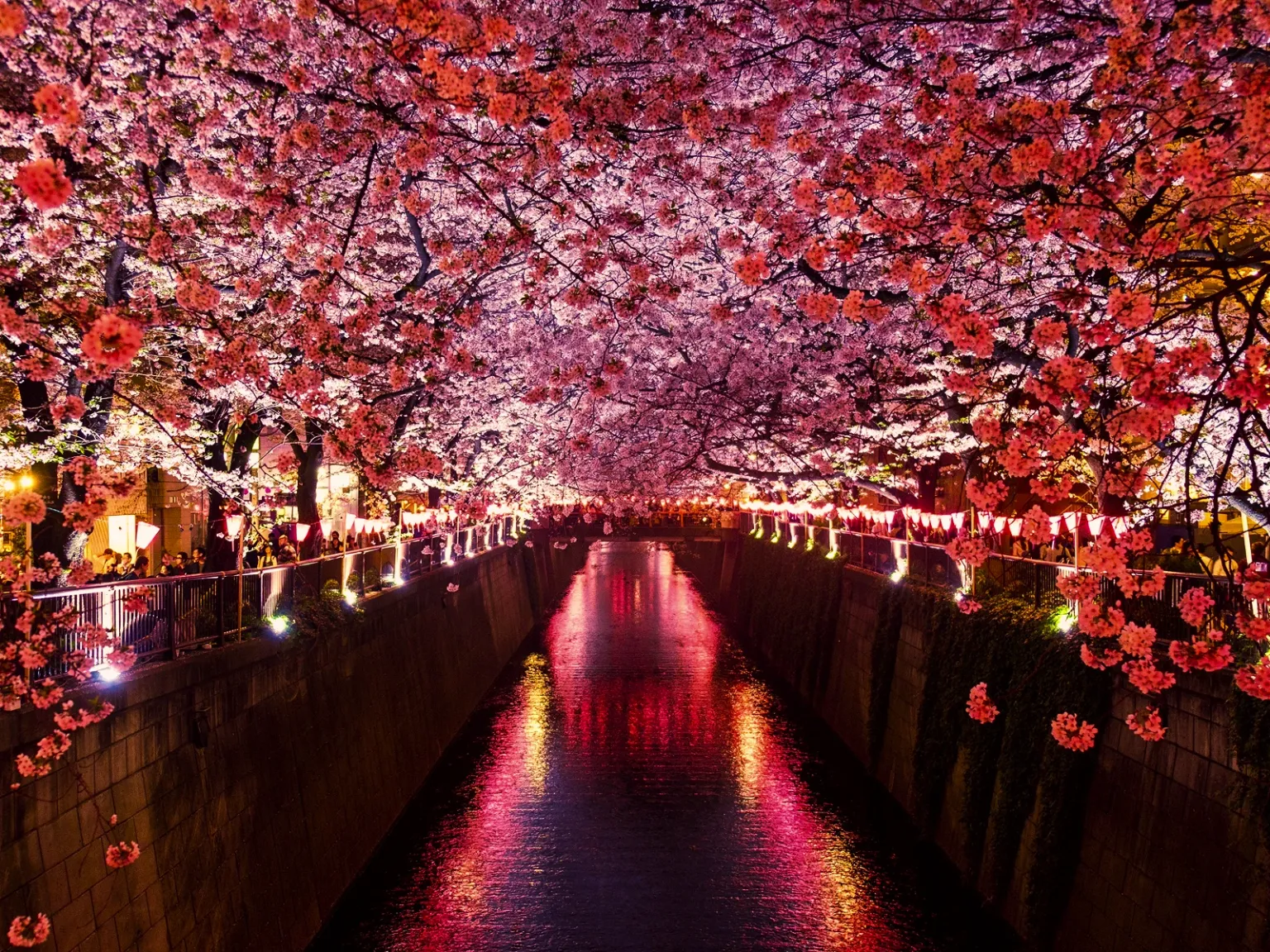 Golden Route Road Romance
