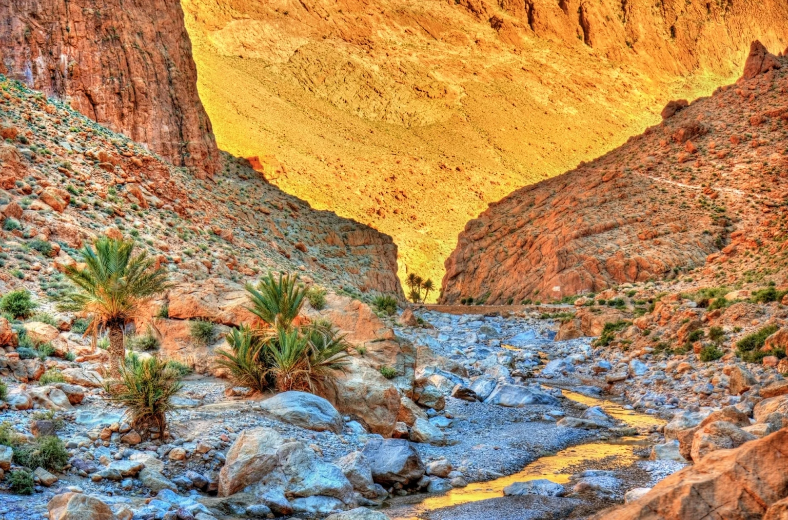 Grand Tour of Morocco