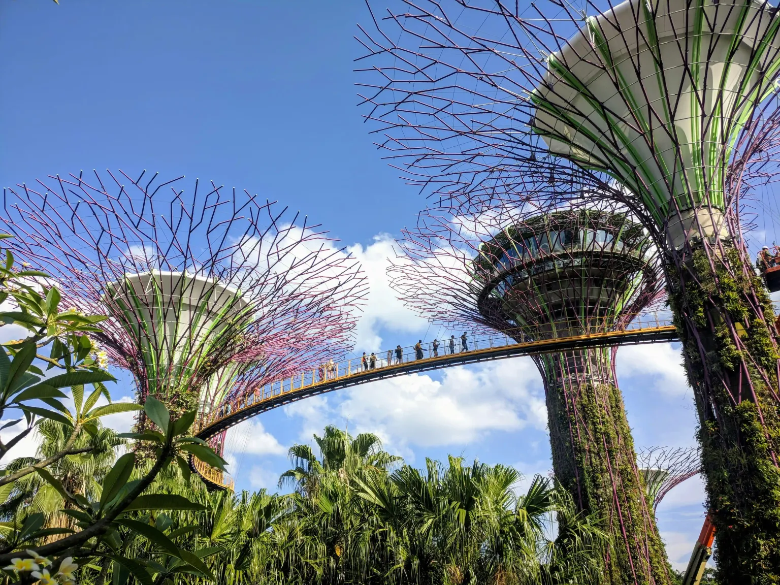 Singapore Thrills & Wonders