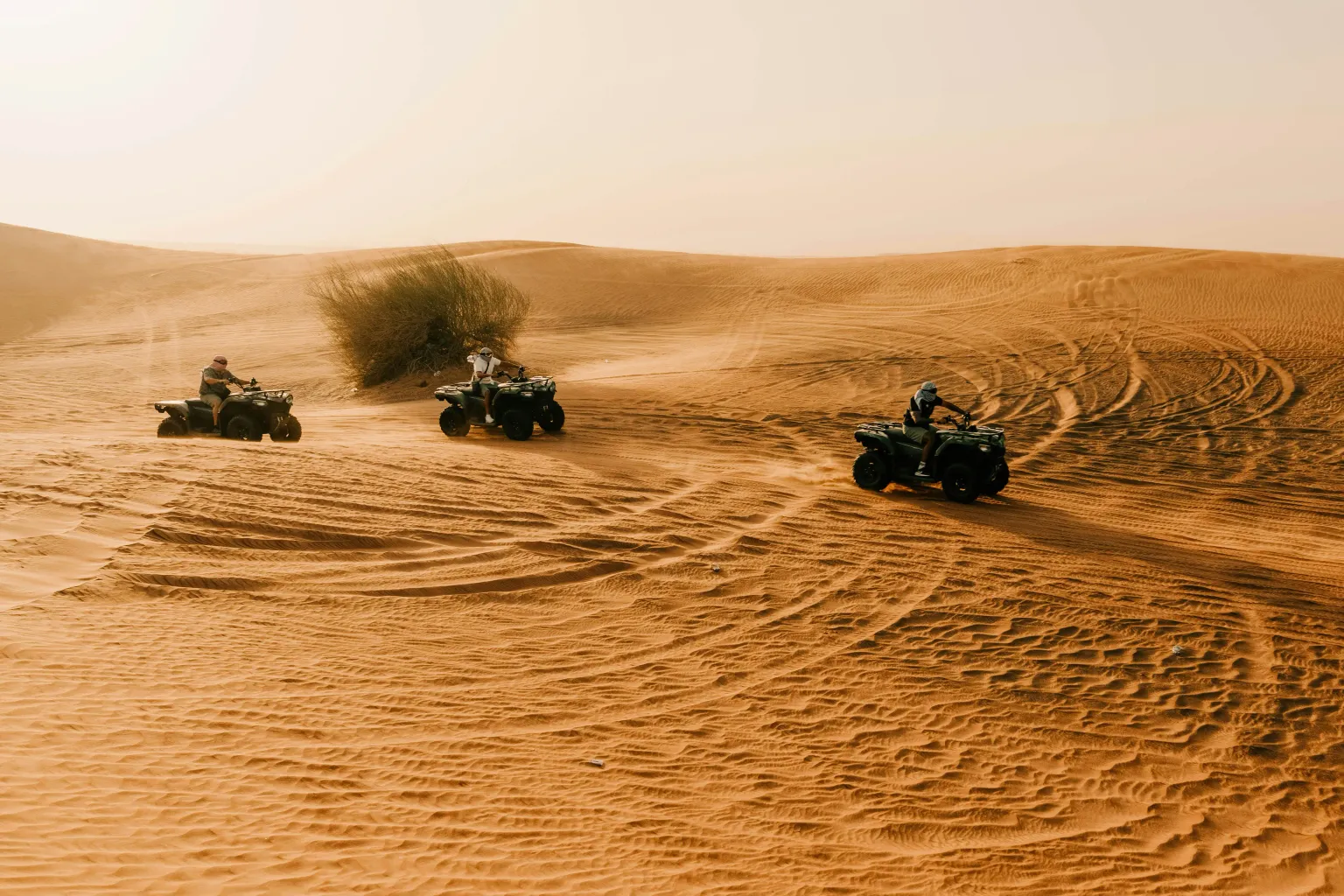 Dubai City & Desert Adventure