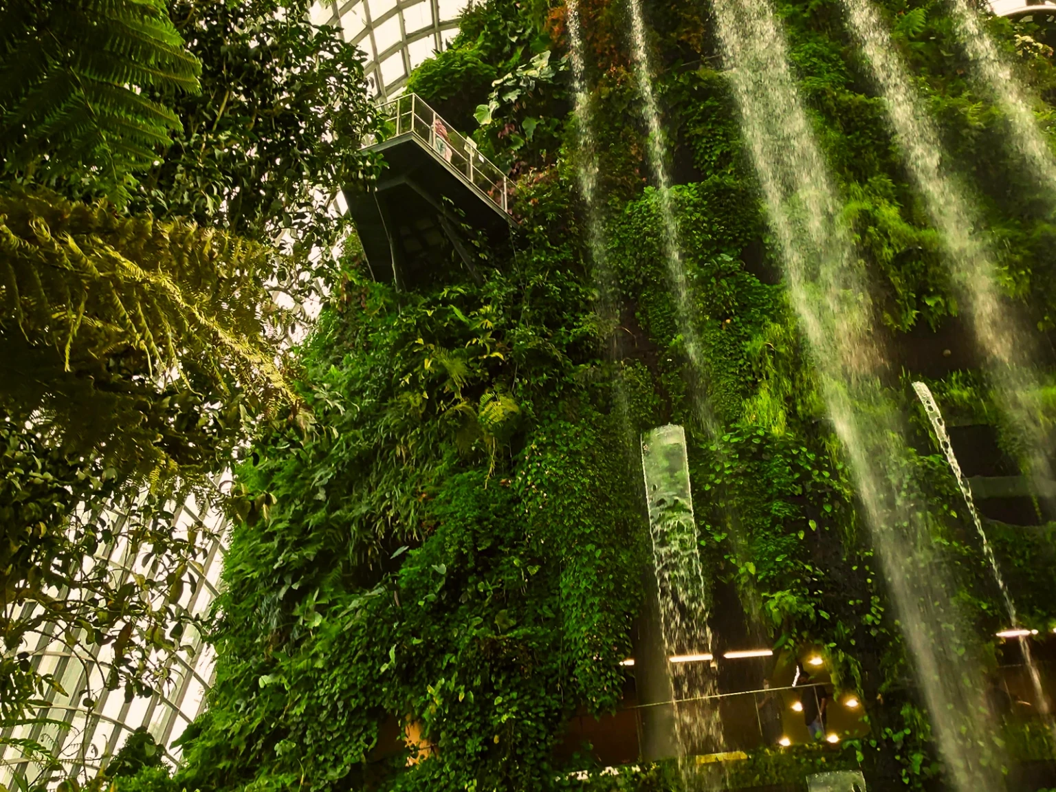 Into the Wild Singapore