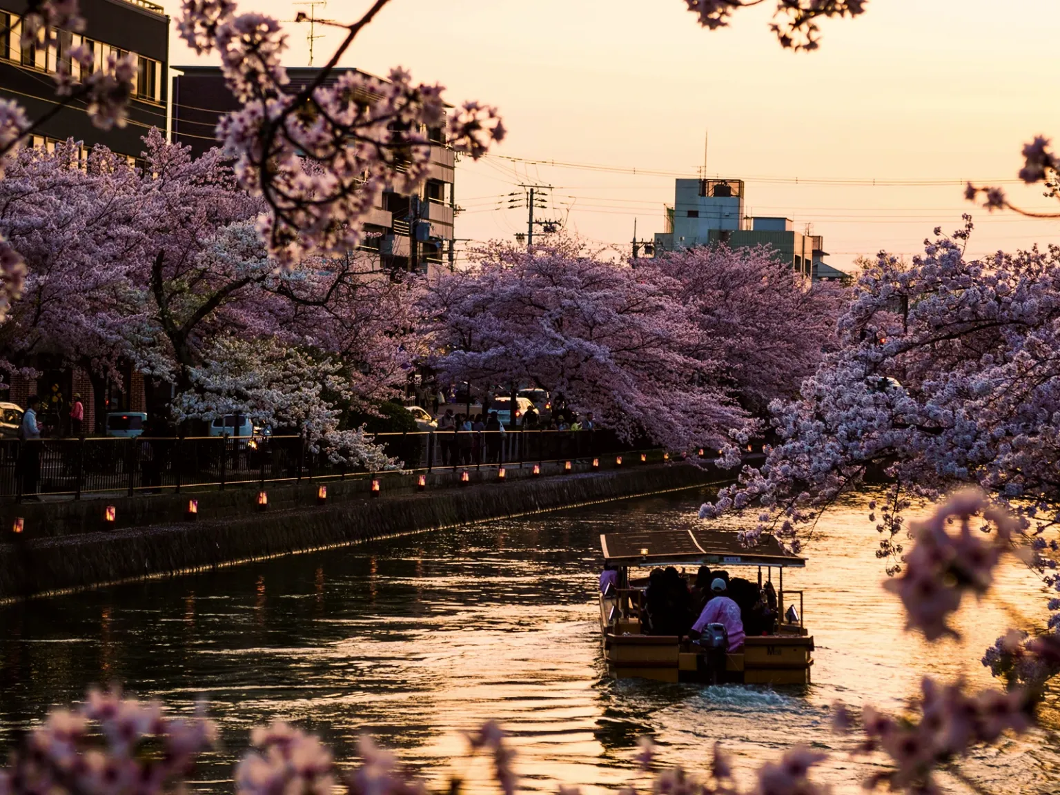 Japan Adventure Highs
