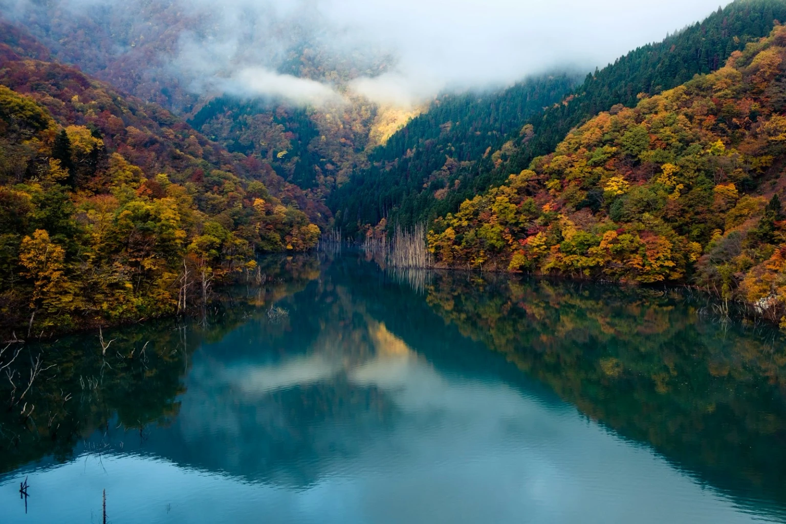 japan_autumn_foliage_ht_package_pages_4T_74DQL3qg.jpg