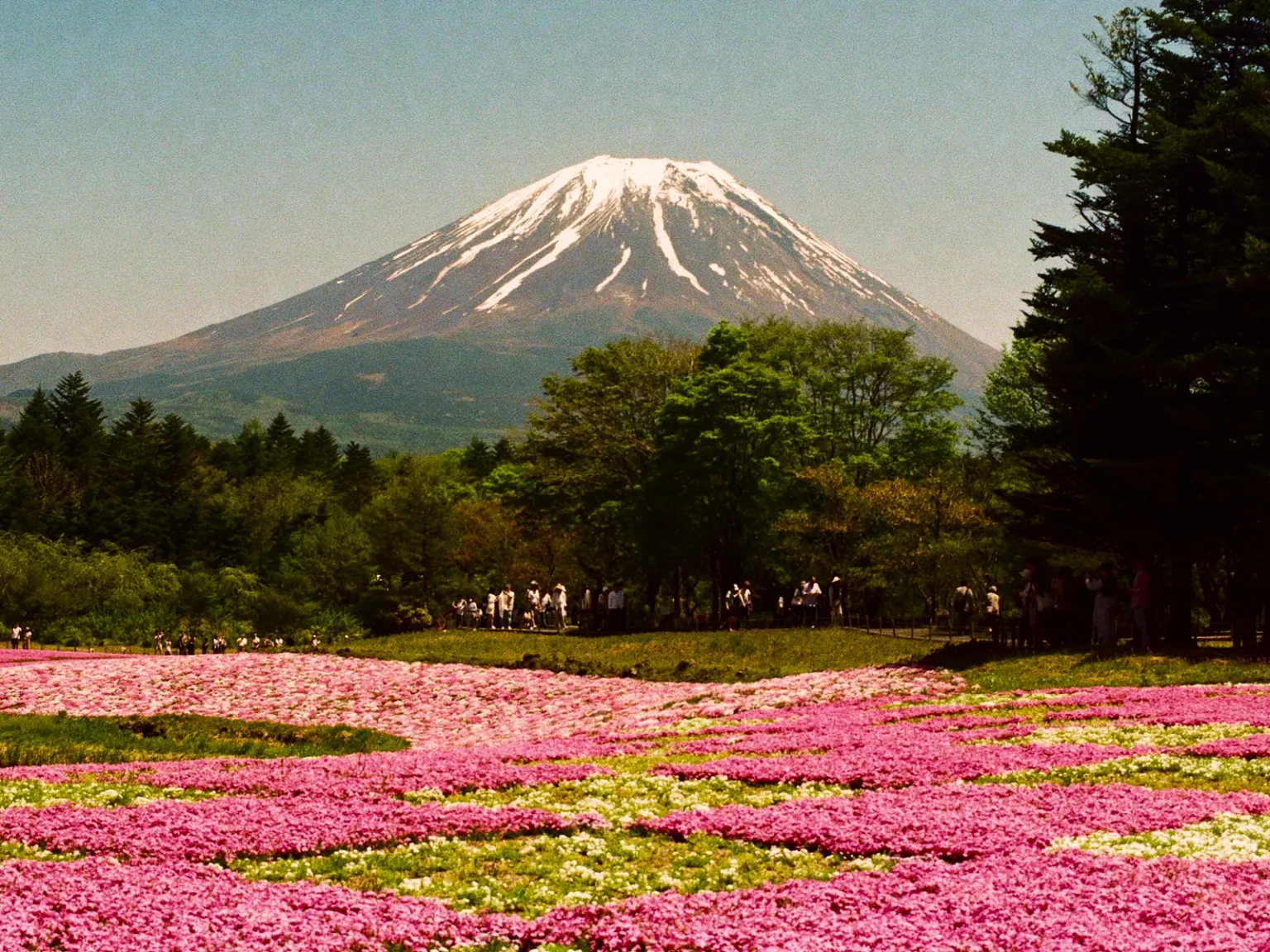 Japan Nature Quest