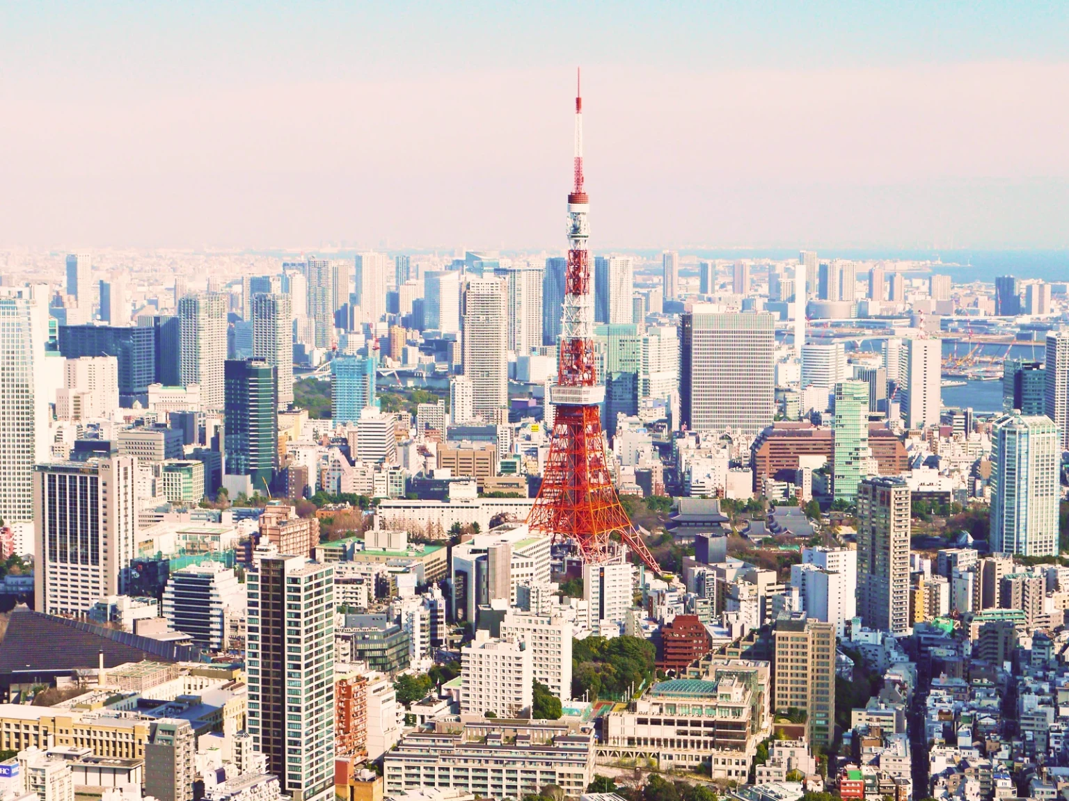 Japan Skyscape Family