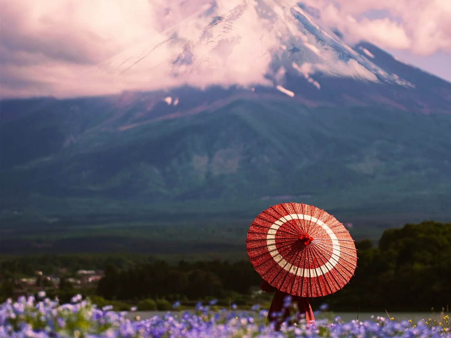 Japan Wanderer