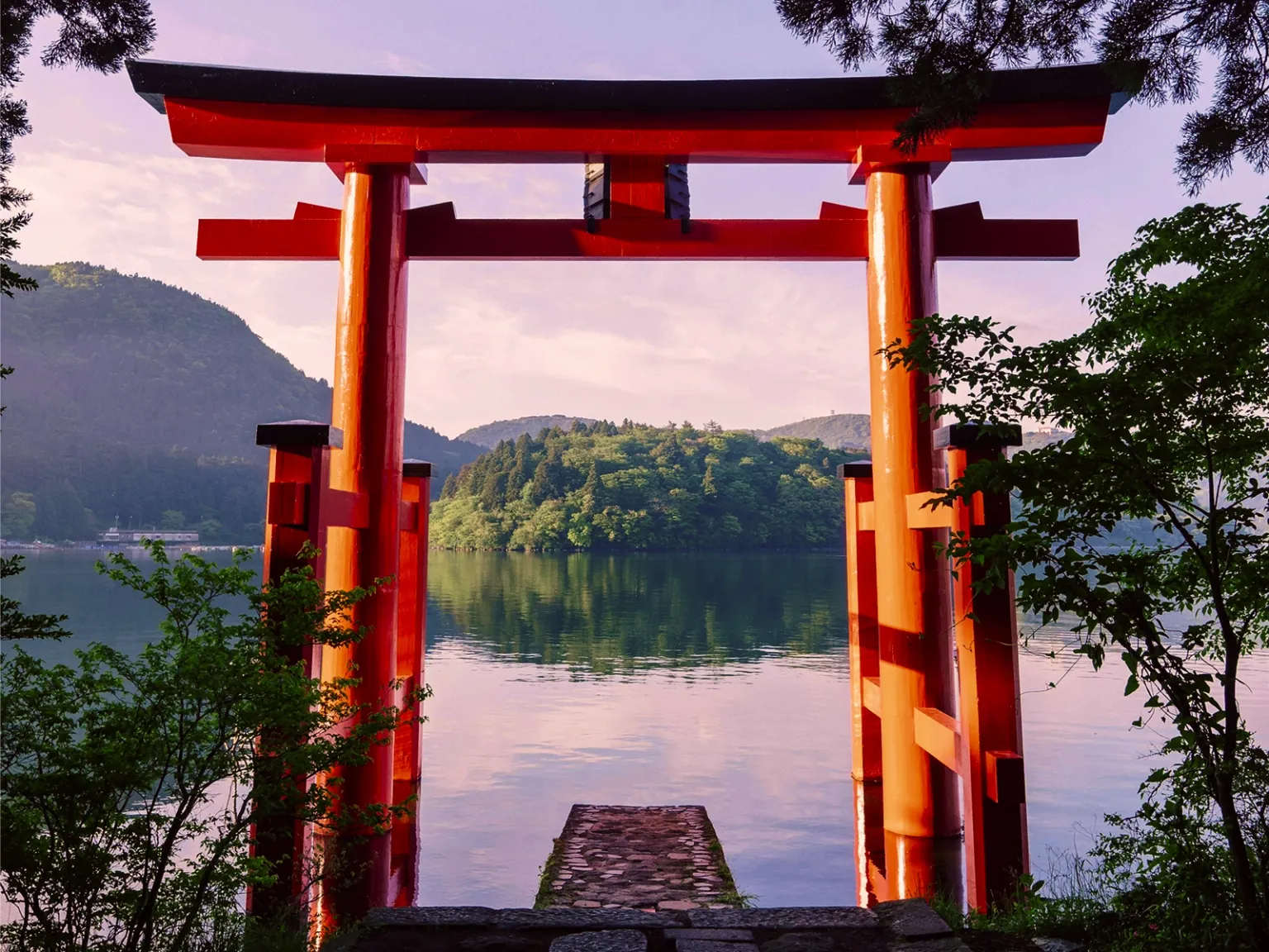 Japan Wild Kingdom