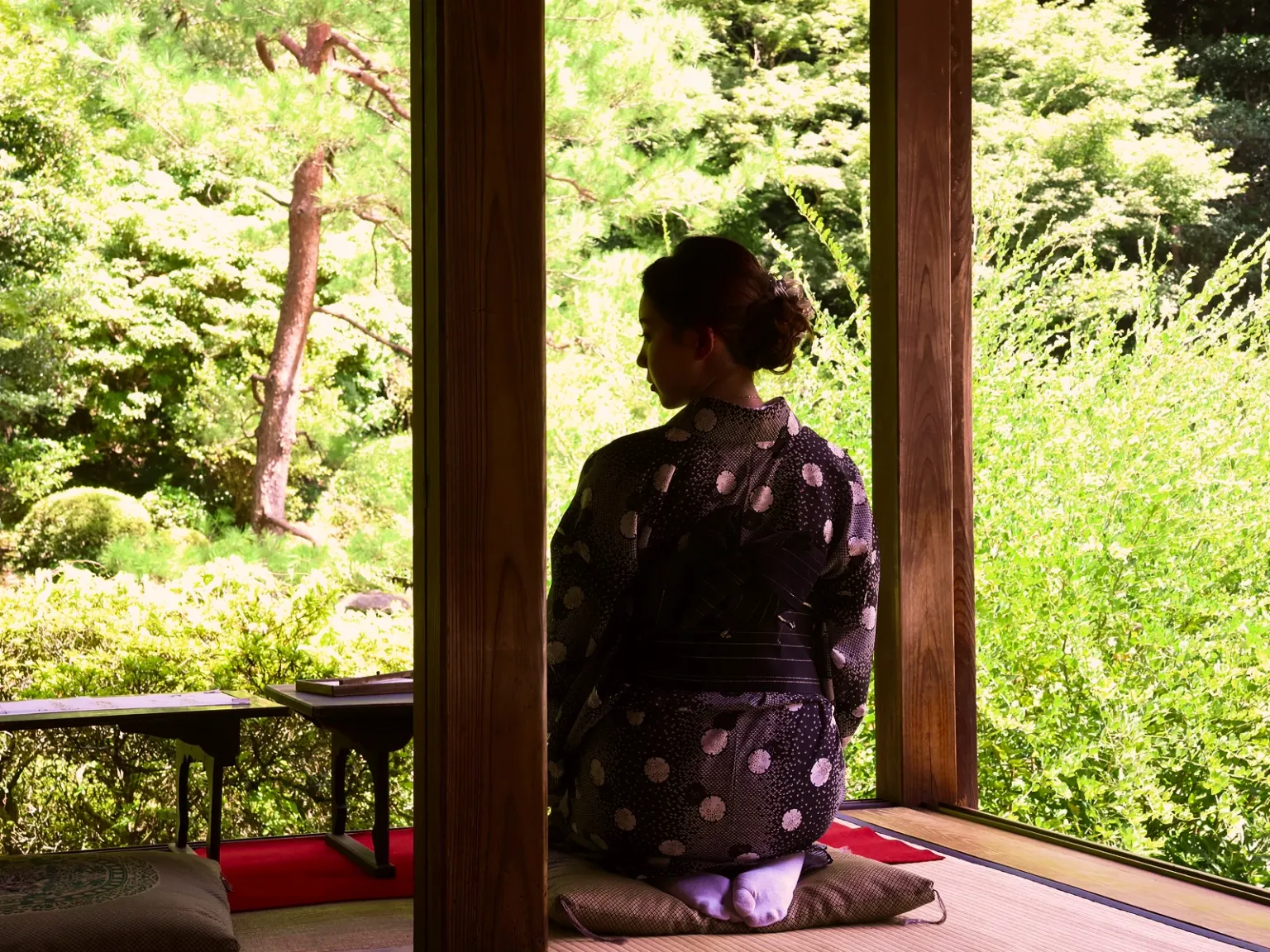 Japanese Cultural Discovery