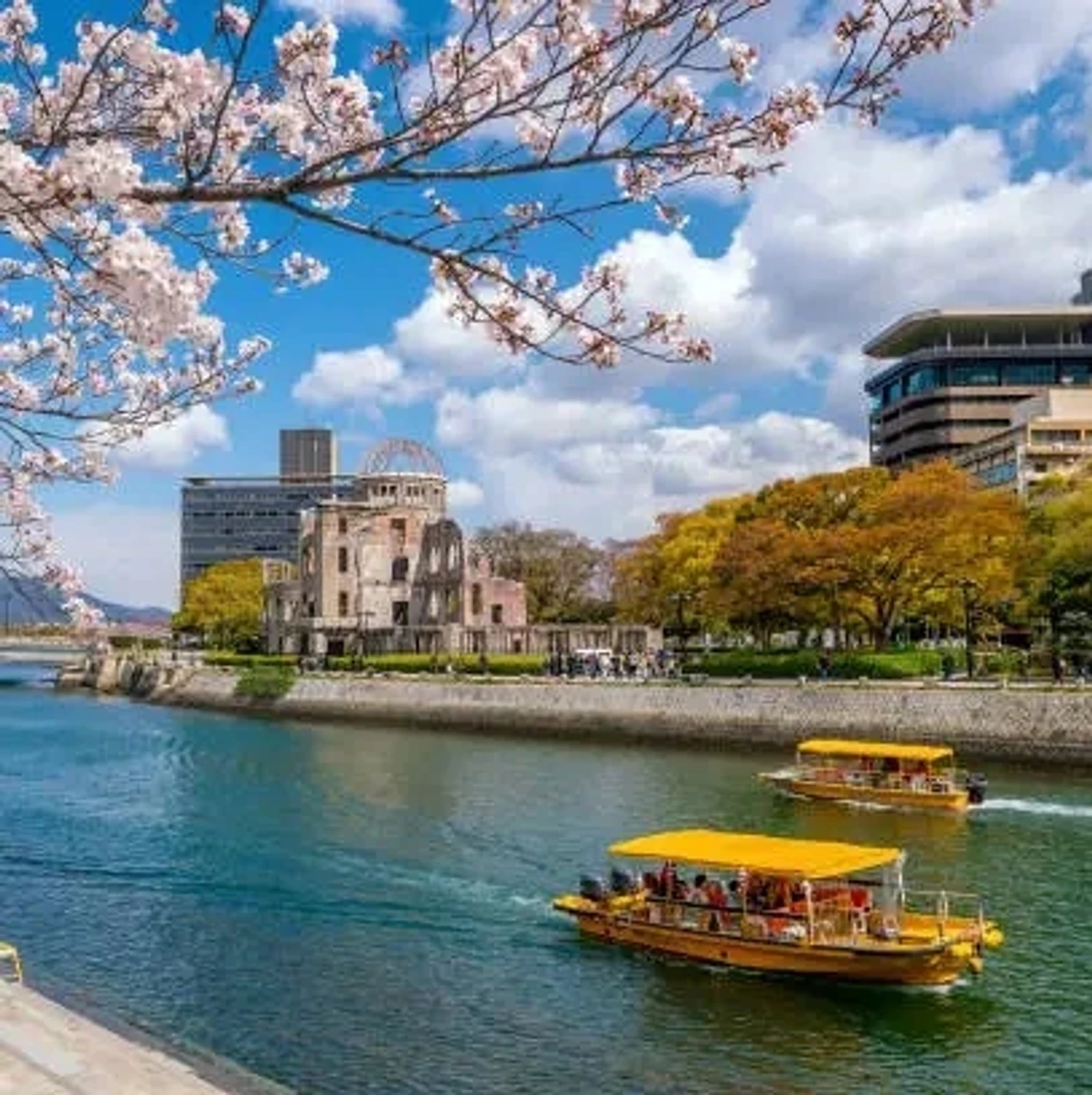 A vibrant display of holiday packages showcasing travel experiences in Japan.