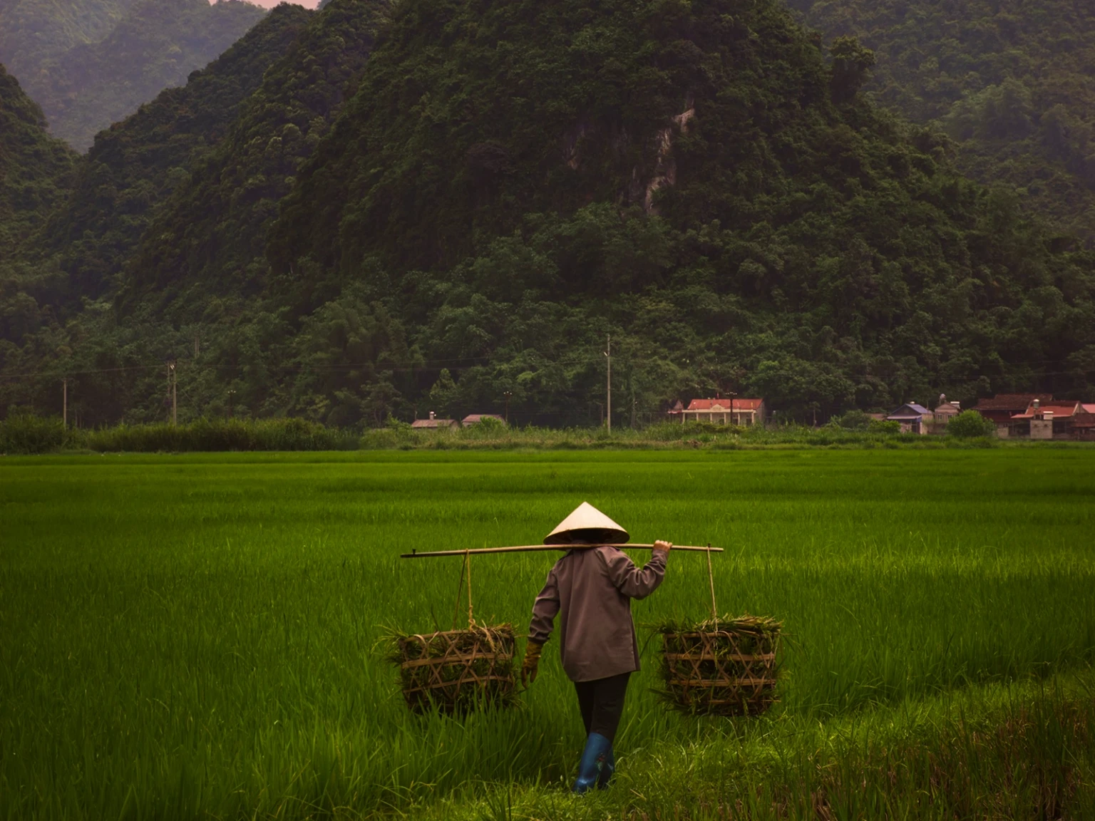 Jewels of Nature Vietnam