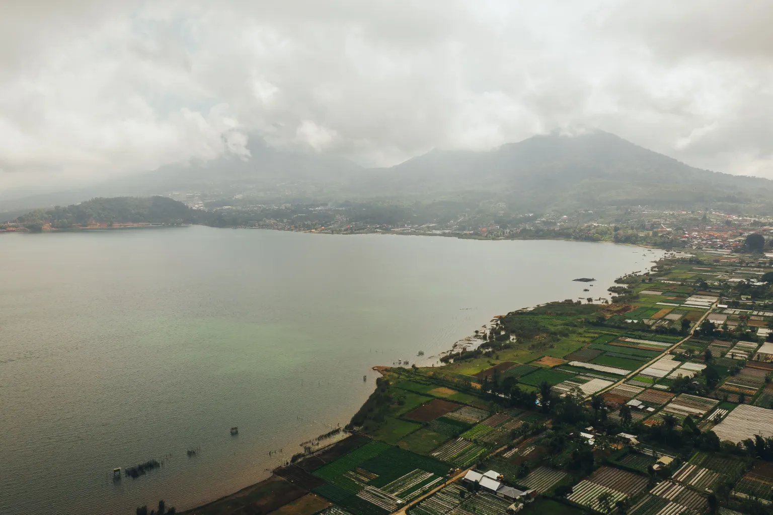 Kintamani2.jpg
