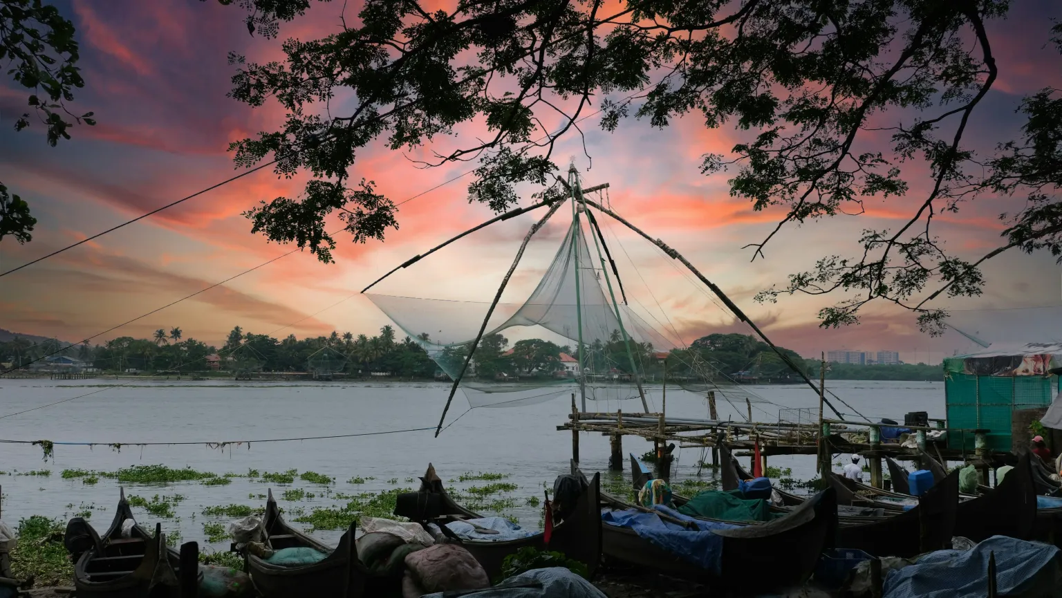 Kochi1.jpg