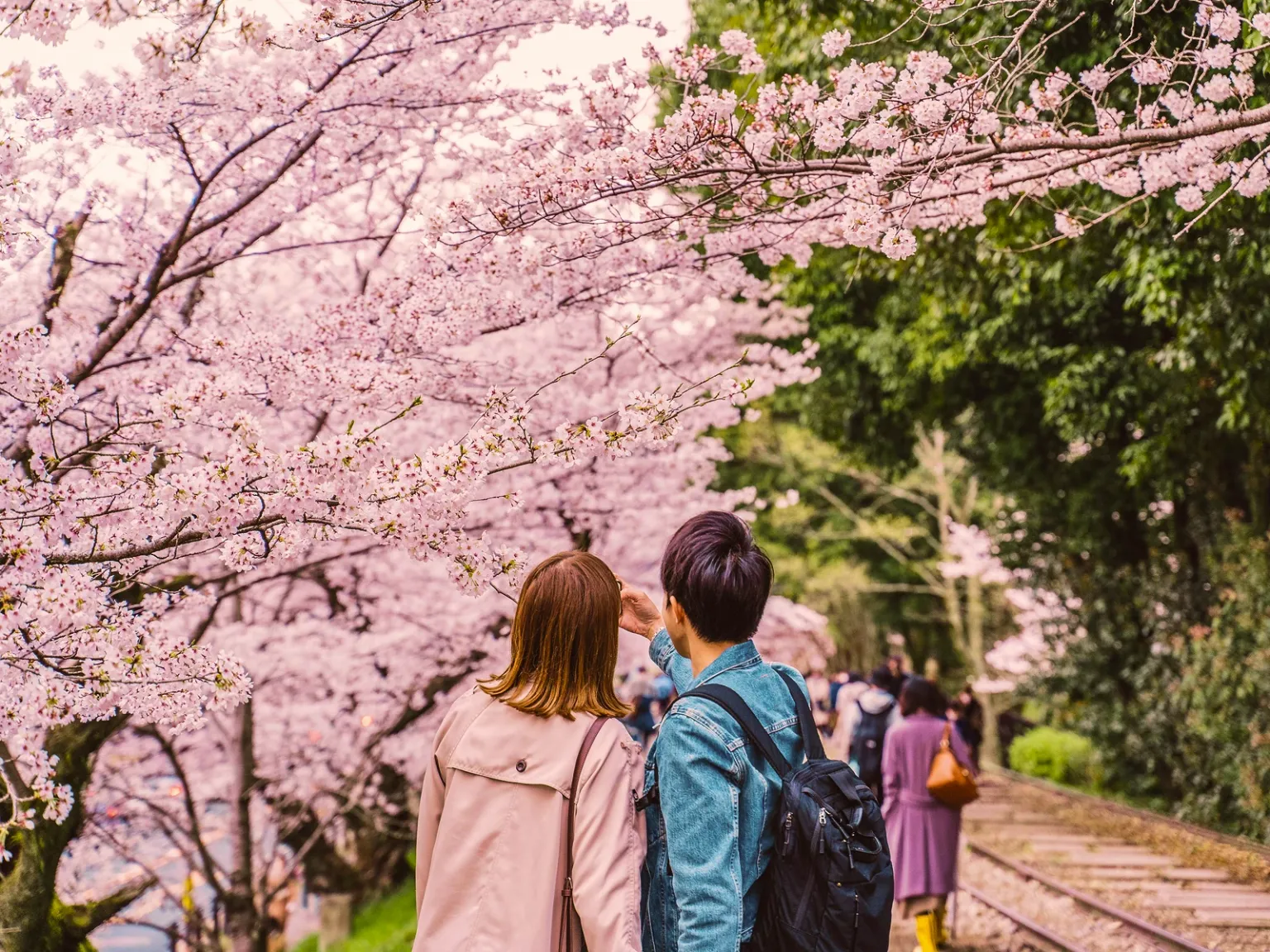 Kyoto Love Escape