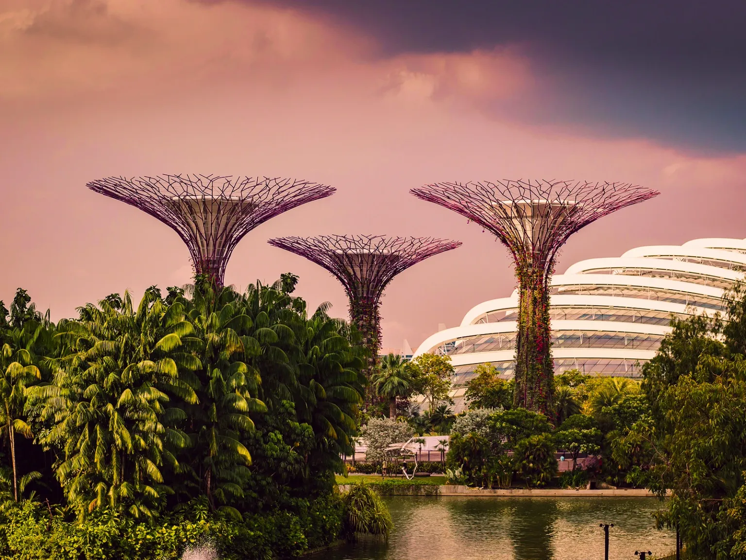 Lion City Escape