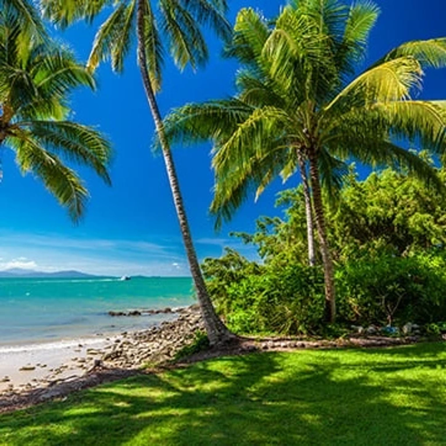 Stunning holiday packages showcasing scenic views and attractions in Australia.